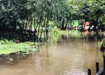 টানা বৃষ্টিতে চাটখিল-সোনাইমুড়ী প্লাবিত: কয়েক লাখ মানুষ পানি বন্ধী