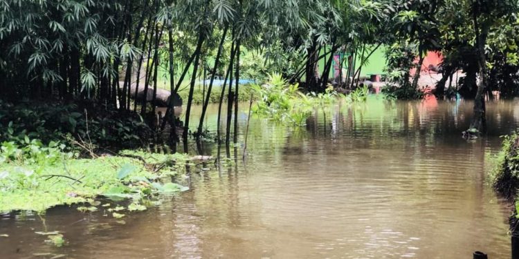 টানা বৃষ্টিতে চাটখিল-সোনাইমুড়ী প্লাবিত: কয়েক লাখ মানুষ পানি বন্ধী