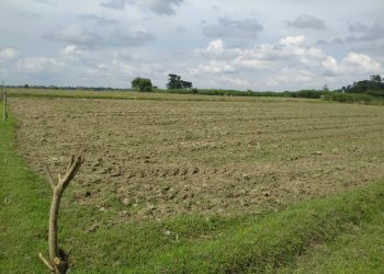 জামালপুরে খ্রিস্টান পরিবারের জমি দখল, থানায় অভিযোগ