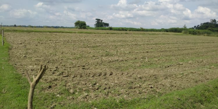 জামালপুরে খ্রিস্টান পরিবারের জমি দখল, থানায় অভিযোগ