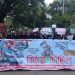 কাপ্তাই বিএসপিআই  বৈষম্যবিরোধী ছাত্র আন্দোলনের  বাধভাঙা বিজয় মিছিল