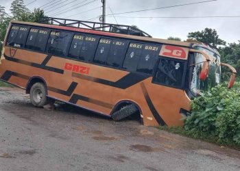 দেবহাটার কুলিয়ায় বাস দূর্ঘটনায় অল্পের জন্য বেঁচে গেলো ৫০যাত্রী