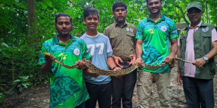 কাপ্তাইয়ে ৭ কেজি ওজনের অজগর সাপ অবমুক্ত