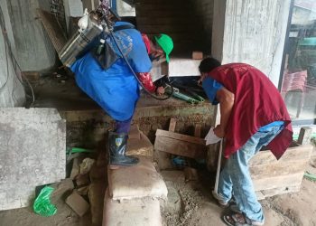 একদিনের প্রচেষ্টায়  সারাদেশে ৮ হাজার মশার প্রজননস্থল ধ্বংস-স্থানীয় সরকার,পল্লী উন্নয়ন ও সমবায় মন্ত্রণালয় 