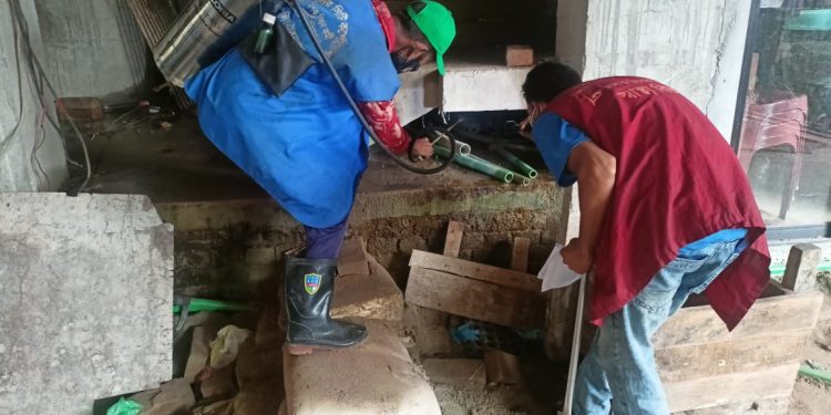 একদিনের প্রচেষ্টায় সারাদেশে ৮ হাজার মশার প্রজননস্থল ধ্বংস-স্থানীয় সরকার,পল্লী উন্নয়ন ও সমবায় মন্ত্রণালয়