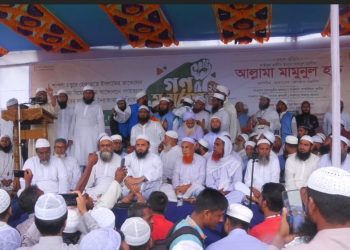 অন্তর্বর্তীকালীন সরকার দুর্বল সরকার: জামালপুরে আল্লামা মামুনুল হক