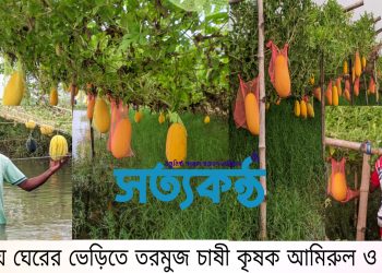 দেবহাটায় ঘেরের ভেড়িতে অসময়ে তরমুজ চাষ করে স্বাবলম্বী হচ্ছে কৃষক