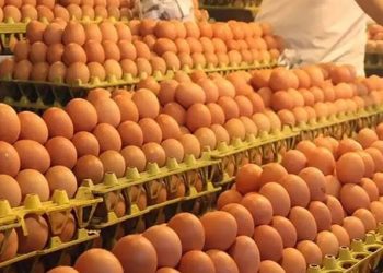 সাড়ে ৪ কোটি পিস ডিম আমদানির অনুমতি