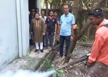 কলাপাড়ায় মশক নিধন কর্মসূচির উদ্বোধন করলেন পৌর প্রশাসক
