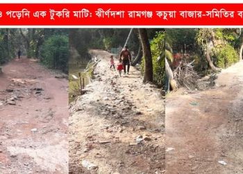 দেড়যুগেও পড়েনি এক টুকরি মাটি: ঝীর্ণদশা রামগঞ্জ কচুয়া বাজার-সমিতির বাজার সড়ক