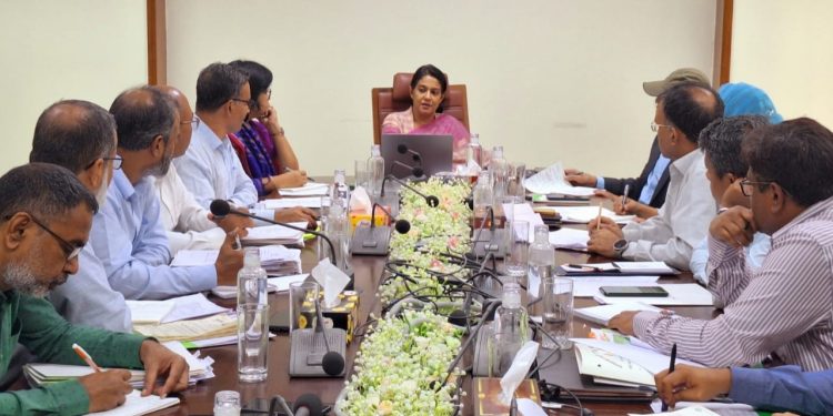 ইউক্যালিপটাস ও আকাশমণি গাছ রোপণ বন্ধ করবে বন বিভাগ