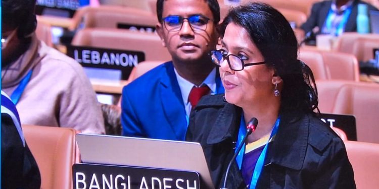 উপদেষ্টা সৈয়দা রিজওয়ানা হাসান COP29 আলোচনায় ন্যূনতম এবং অনুদান-ভিত্তিক বরাদ্দের জন্য আহ্বান জানিয়েছেন