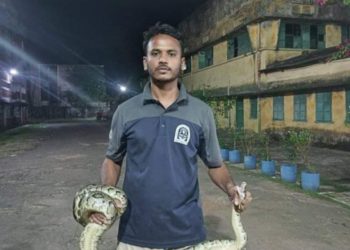 কেপিএম এলাকা থেকে ৮ ফুট লম্বা বার্মিজ  অজগর উদ্ধার