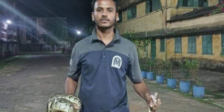 কেপিএম এলাকা থেকে ৮ ফুট লম্বা বার্মিজ  অজগর উদ্ধার