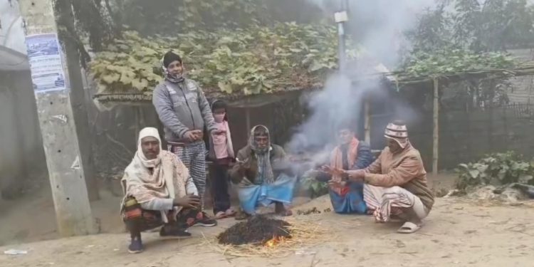 মেহেরপুরে কয়েকদিনের অব্যাহত শীতে যবুথবু হয়ে পড়েছে জনজীবন