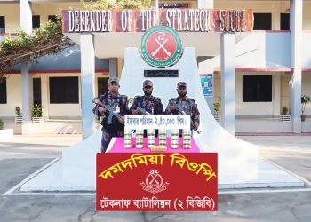 টেকনাফ ব্যাটালিয়ন (২ বিজিবি) কর্তৃক পরিচালিত অভিযানে ২,৫০,০০০ (দুই লক্ষ পঞ্চাশ হাজার) পিস ইয়াবা ট্যাবলেট উদ্ধার