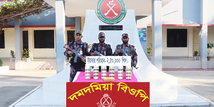 টেকনাফ ব্যাটালিয়ন (২ বিজিবি) কর্তৃক পরিচালিত অভিযানে ২,৫০,০০০ (দুই লক্ষ পঞ্চাশ হাজার) পিস ইয়াবা ট্যাবলেট উদ্ধার