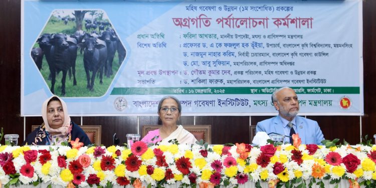 মহিষের দইকে জিআই পণ্য হিসেবে স্বীকৃতি প্রদানের জন্য কাজ করতে হবে – মৎস্য ও প্রাণিসম্পদ উপদেষ্টা