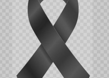 রাজধানীর উত্তরায় বিমান বিধ্বস্তে হতাহতের ঘটনায় সমাজকল্যাণ এবং মহিলা ও শিশু বিষয়ক উপদেষ্টার শোক