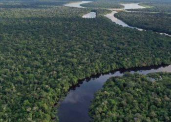 অ্যামাজন জঙ্গল বিশ্বজুড়ে অভিযাত্রী, প্রকৃতিপ্রেমী ও গবেষকদের কাছে আকর্ষণীয়