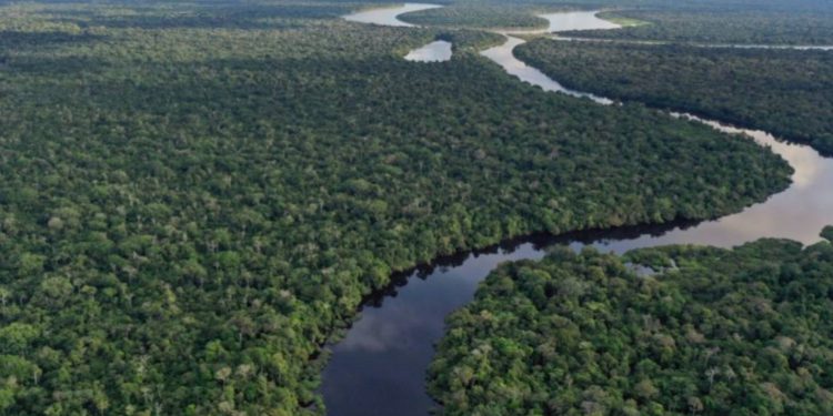 অ্যামাজন জঙ্গল বিশ্বজুড়ে অভিযাত্রী, প্রকৃতিপ্রেমী ও গবেষকদের কাছে আকর্ষণীয়