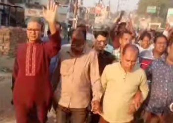 বাঘায় জাতীয় বিপ্লব ও সংহতি দিবস পালিত 