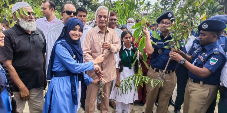 মাগুরায় ১০ হাজার গাছের চারা রোপণ কর্মসূচির উদ্বোধন করলেন সংস্কৃতি মন্ত্রী